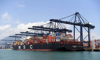 開門紅 127.65萬 鹽田港集團(tuán)1月集裝箱吞吐量同比增長3.12